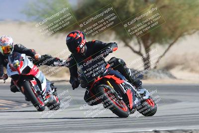 media/Oct-13-2025-Moto Forza (Mon) [[a66d839500]]/3-B Group/Session 4 Turn 4 Tree of Life/